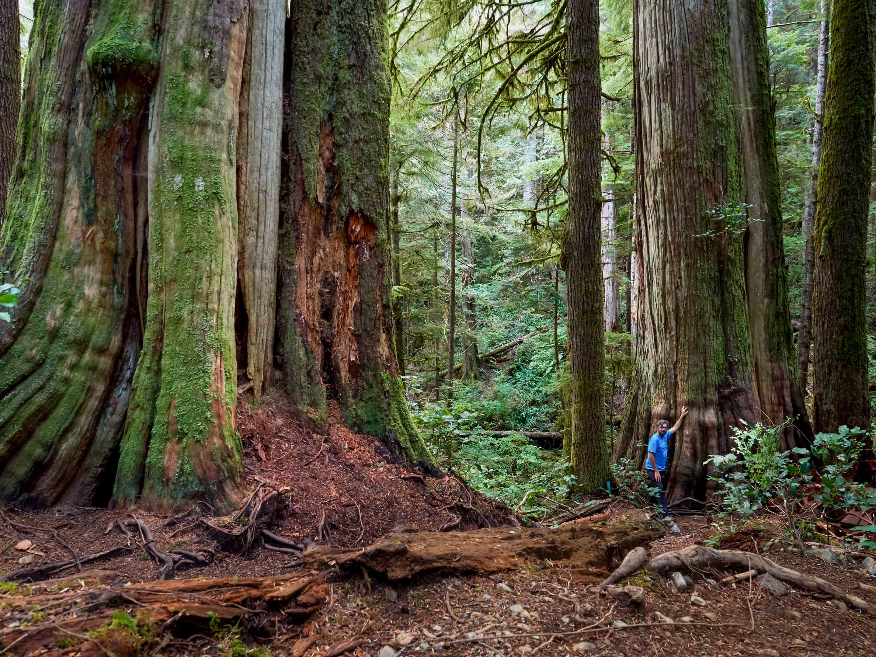 Wilderness International